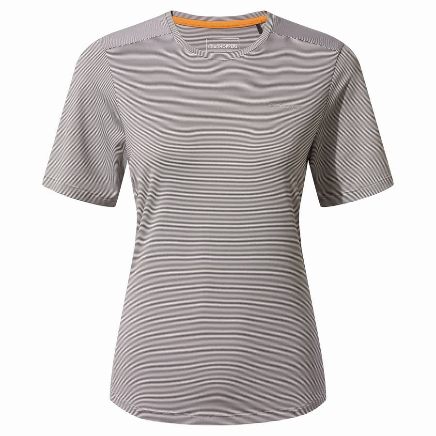 Craghoppers Aliso Short Sleeved Women's T-Shirts Grey | HKF5153PU