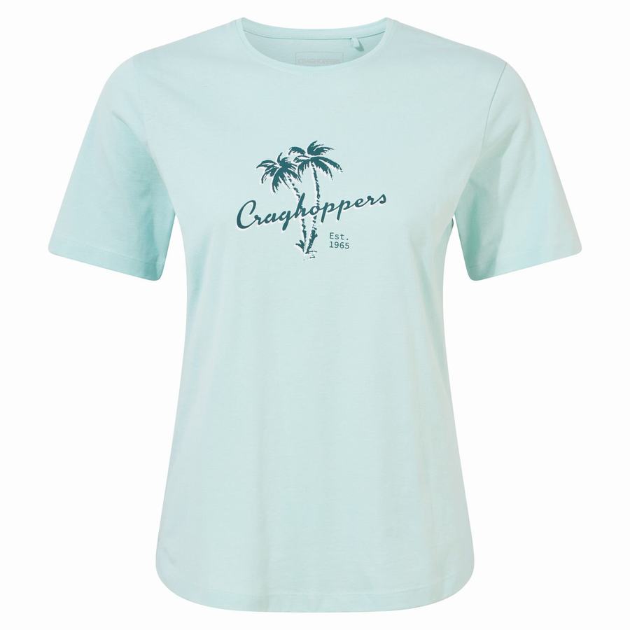 Craghoppers Ally Short Sleeved Women's T-Shirts Green | MYY85PB