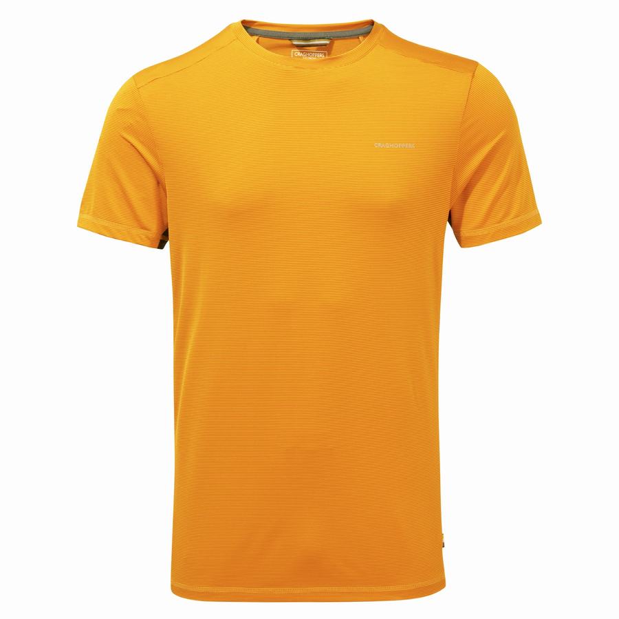 Craghoppers Atmos Short Sleeved Men's T-Shirts Orange | ETO4655BJ