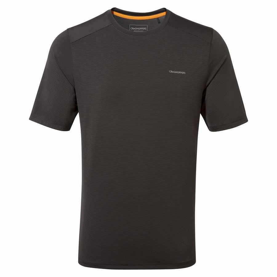 Craghoppers Belardo Short Sleeved Men's T-Shirts Black | XLI477CL