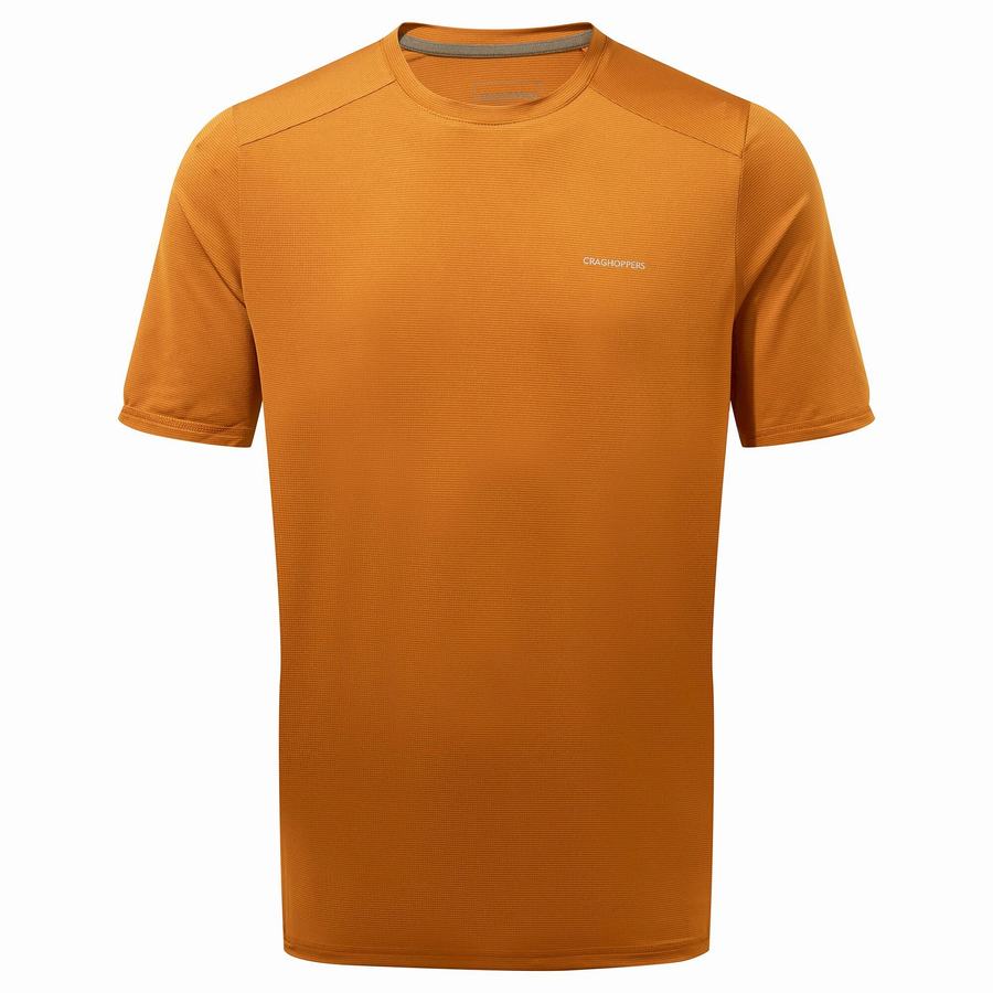 Craghoppers Belardo Short Sleeved Men's T-Shirts Orange | ZAF7777BF