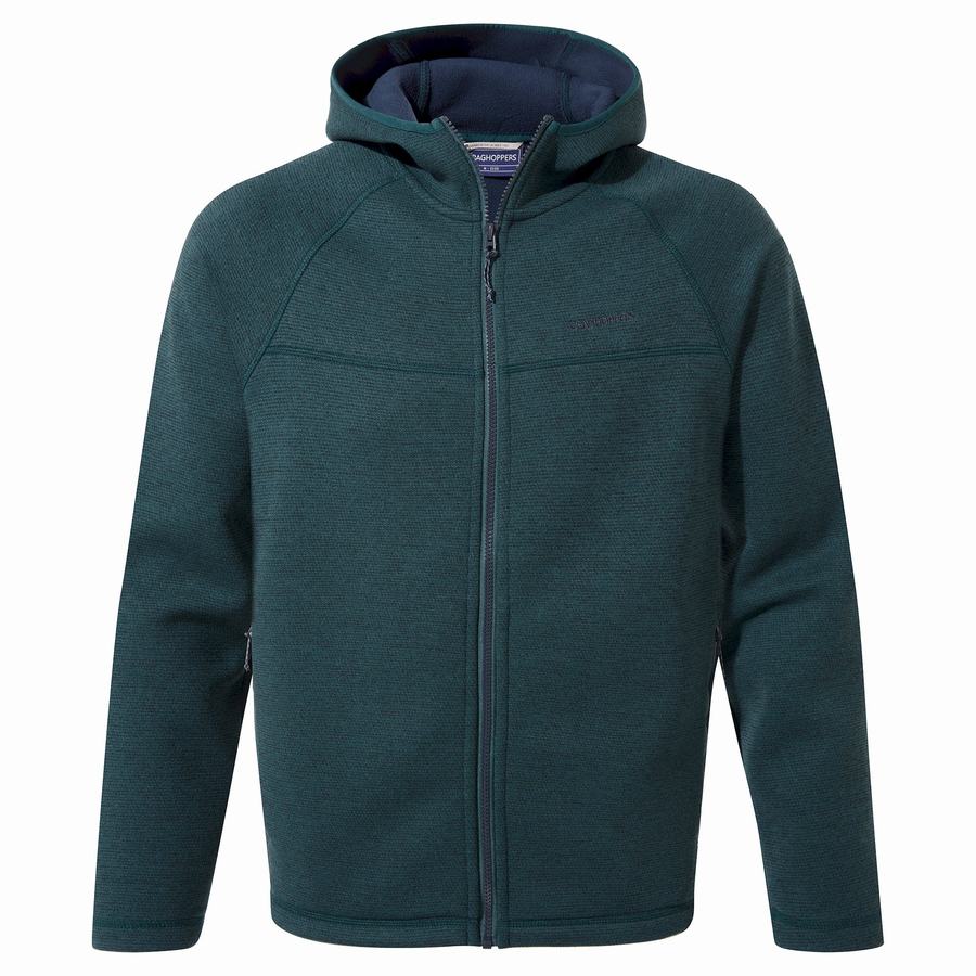 Craghoppers Brayden Hooded Men's Sweaters Dark Blue | PGV7072BR