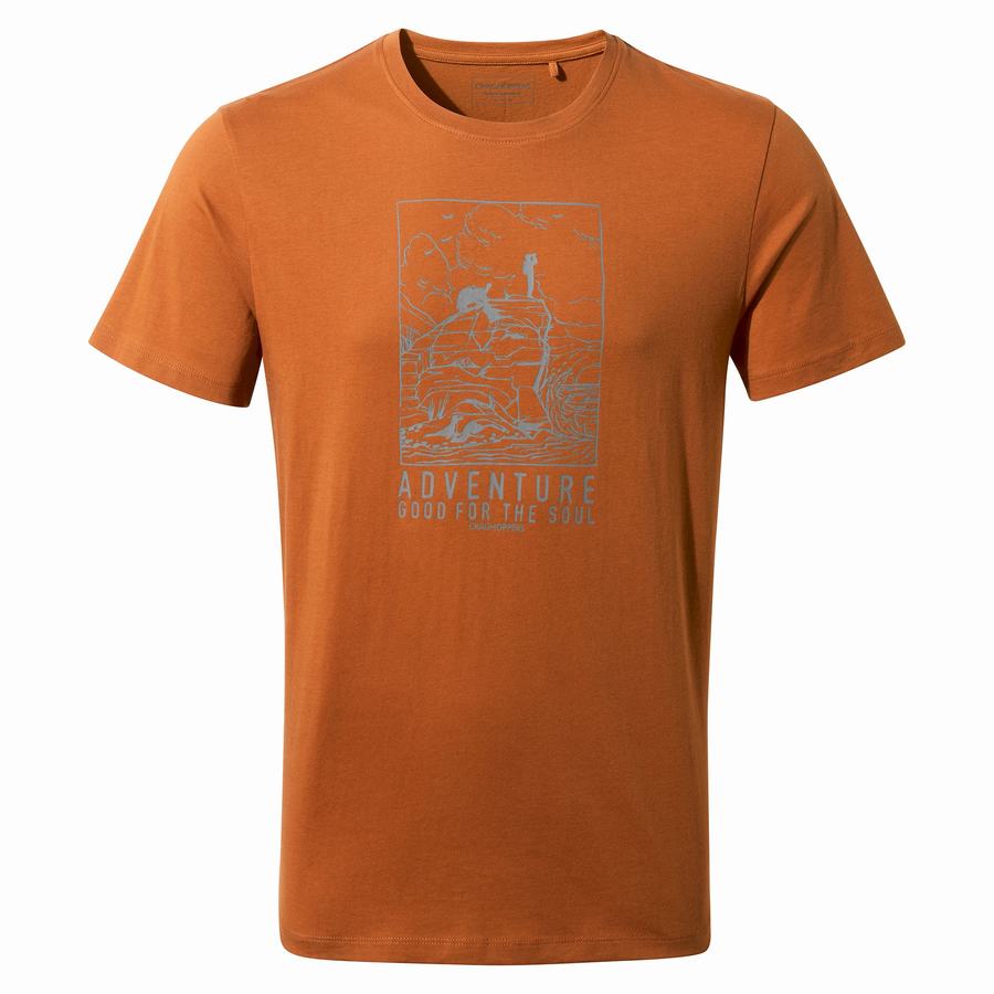 Craghoppers Caldo Short Sleeved Men's T-Shirts Orange | ENZ9236OD