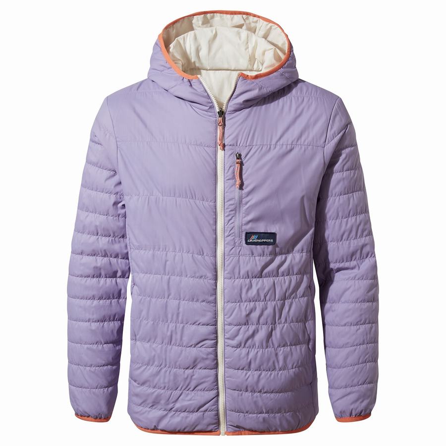 Craghoppers Cameo CompressLite Hooded Men's Jackets Purple | EXS4620OJ