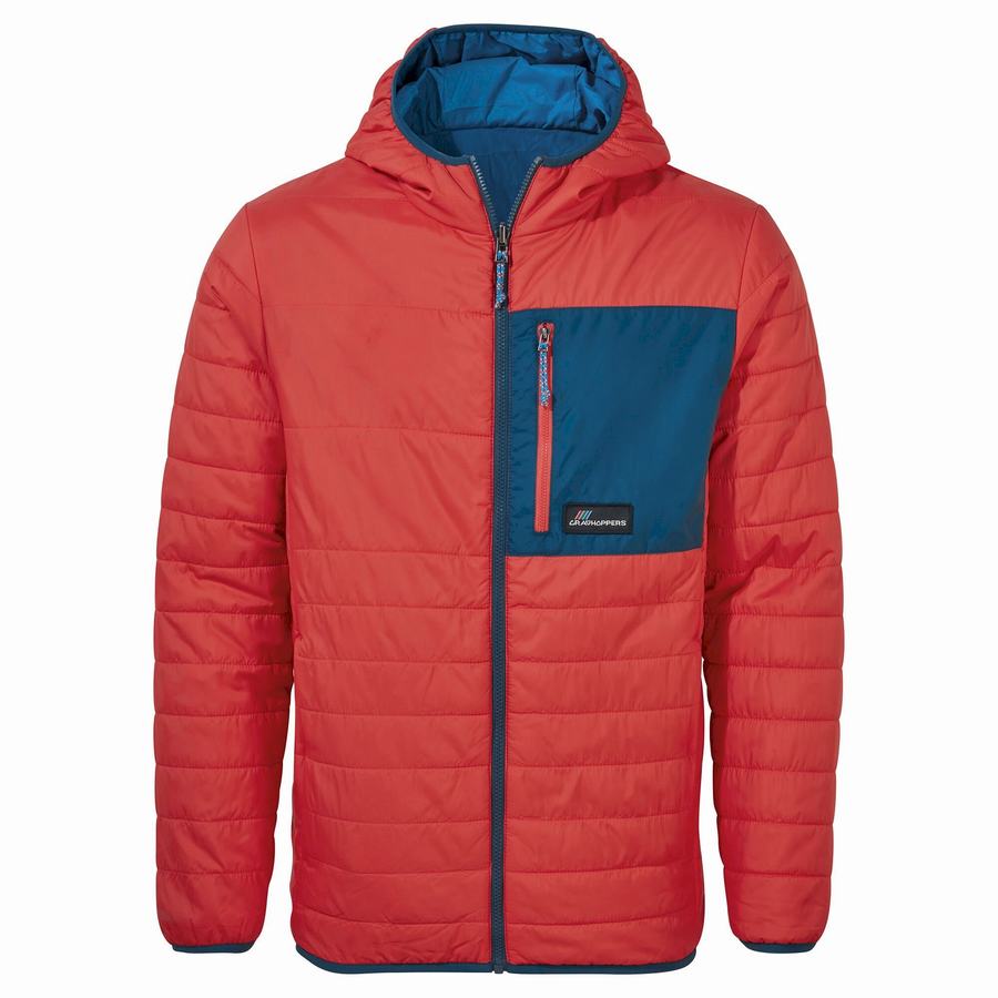 Craghoppers Cameo CompressLite Hooded Men's Jackets Orange Red | WNM8420PX