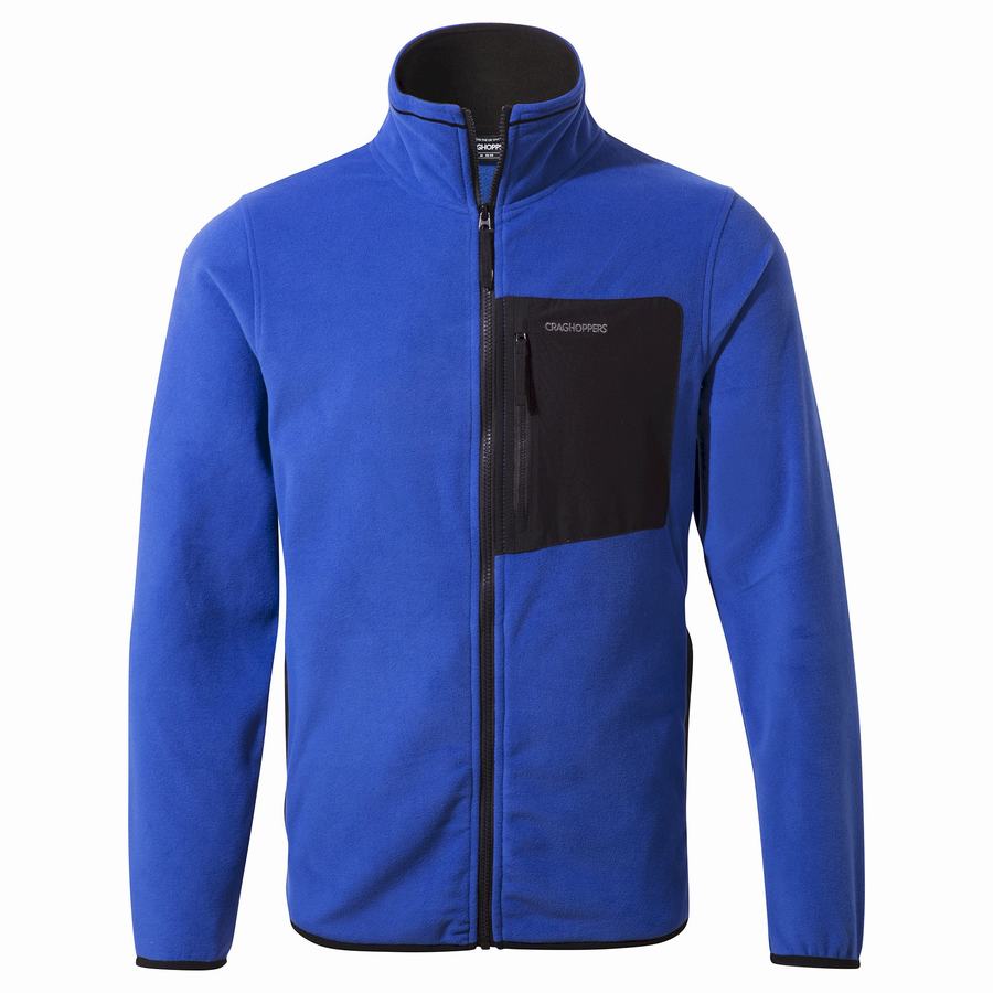 Craghoppers Corey Plus Men's Sweaters Blue | JEN8348CJ