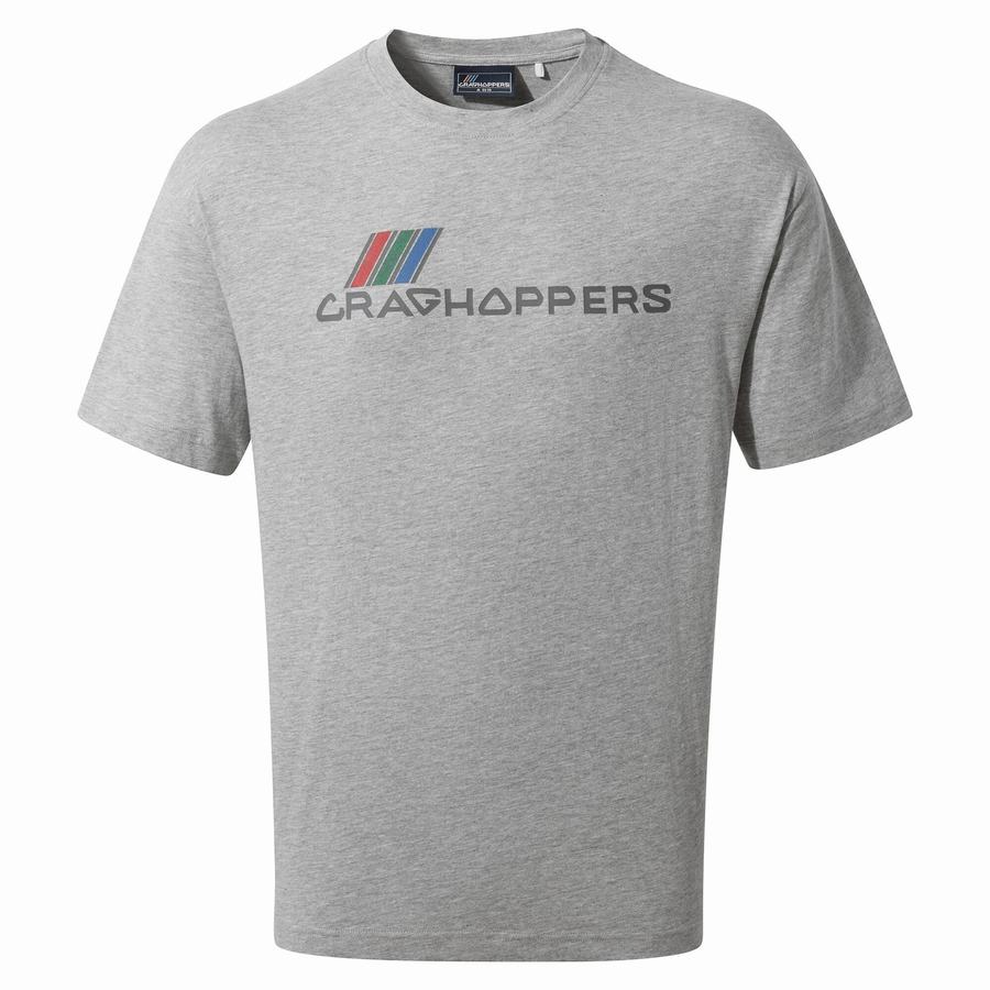 Craghoppers Crosby Short Sleeved Men's T-Shirts Grey | RME7098FN