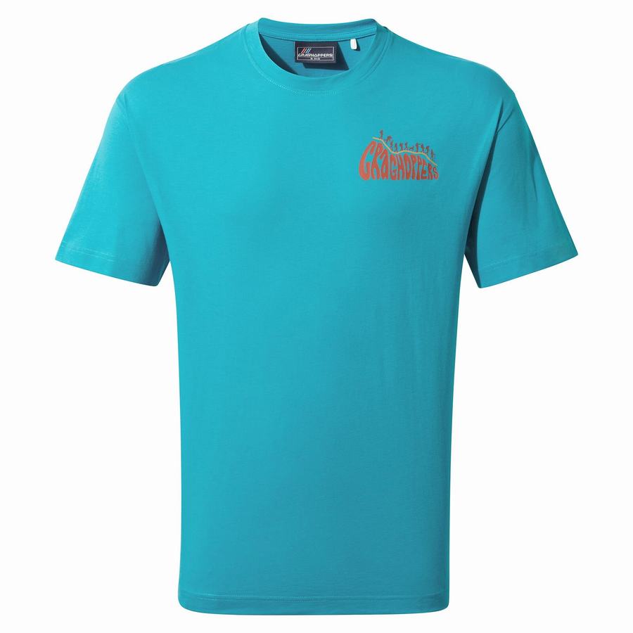 Craghoppers Crosby Short Sleeved Men's T-Shirts Blue | SIL8858ZQ