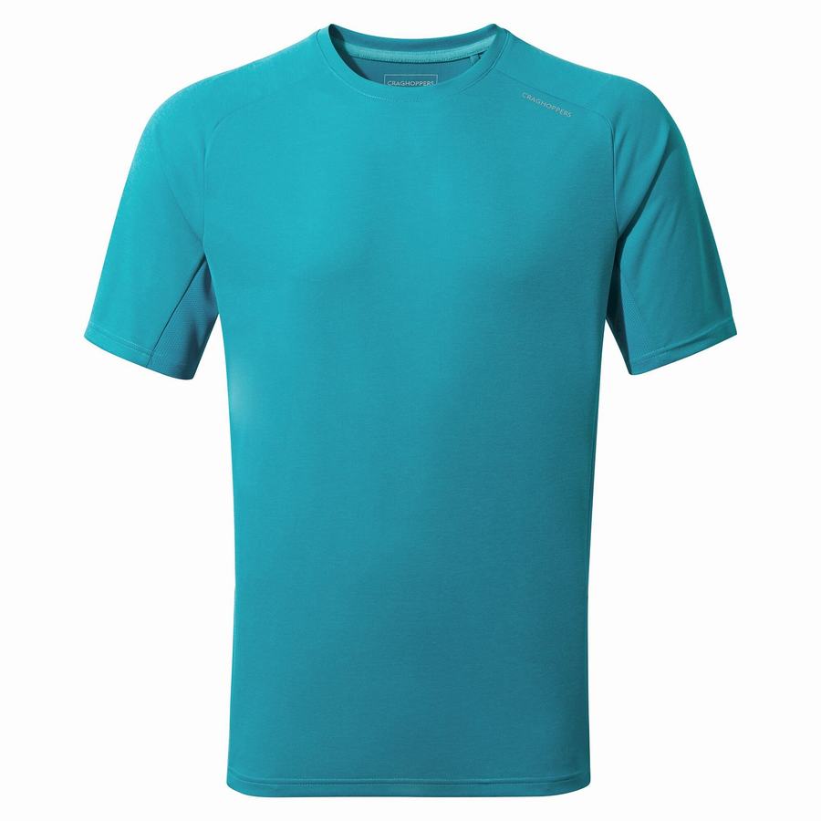 Craghoppers Dynamic Pro Short Sleeved Men's T-Shirts Blue | HPA1476HO