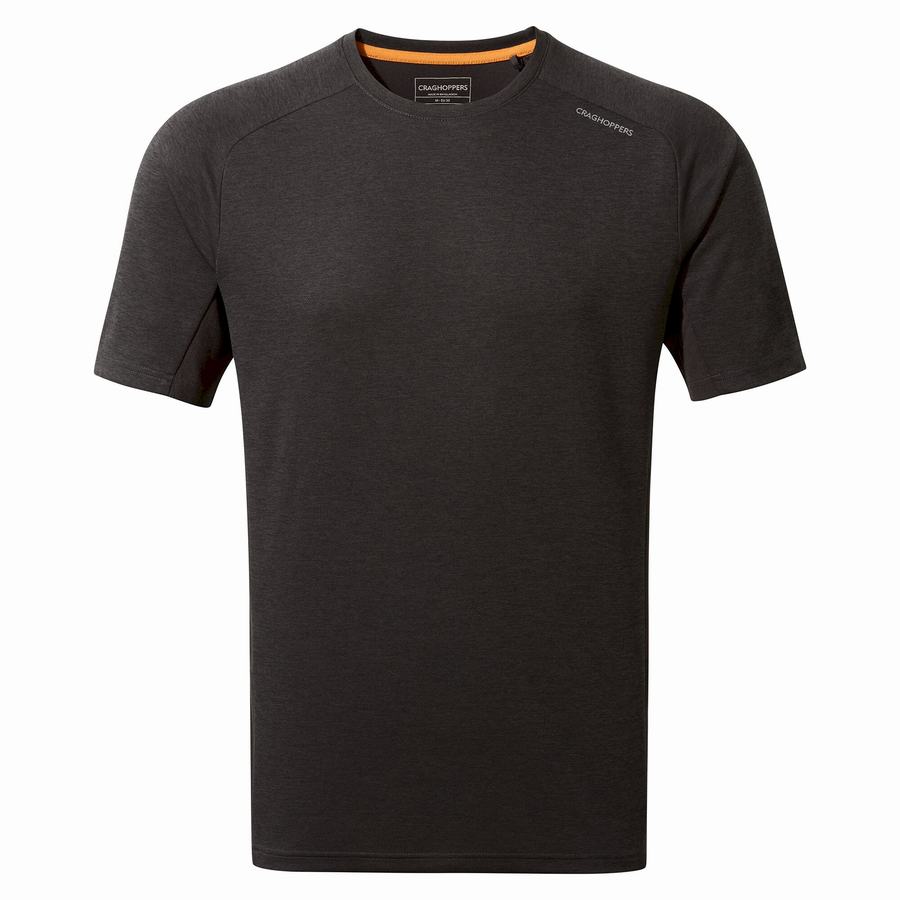 Craghoppers Dynamic Pro Short Sleeved Men's T-Shirts Black | QKO7774UI