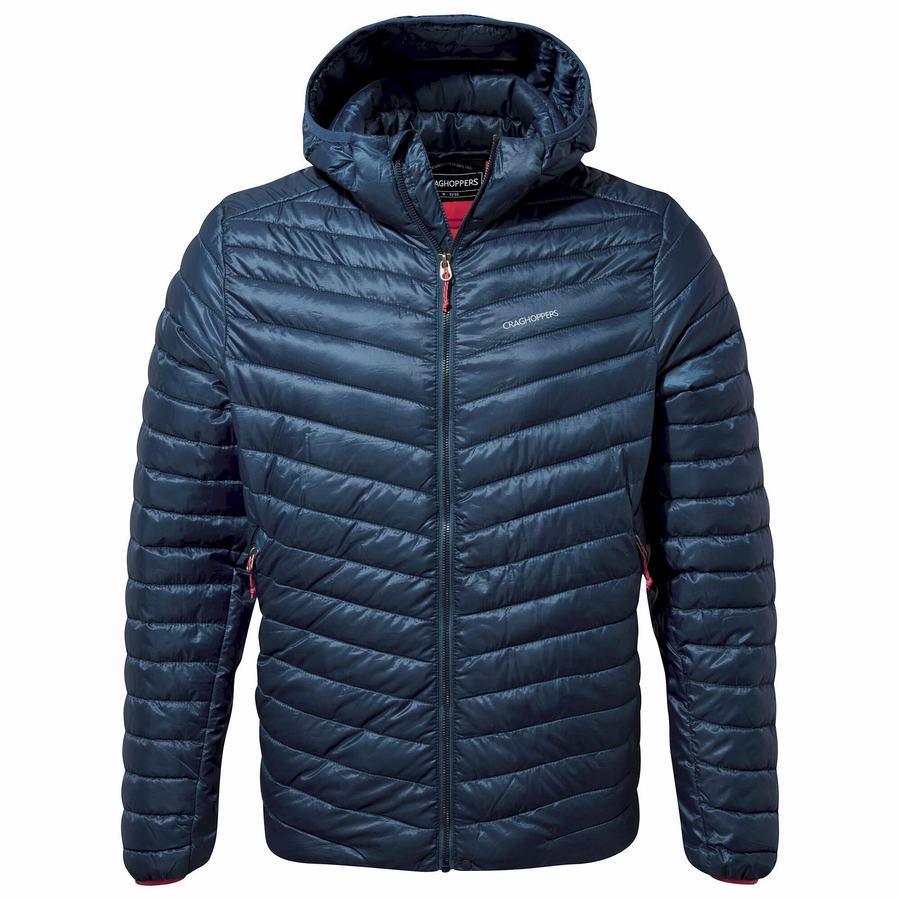 Craghoppers Insulated ExpoLite Hooded Men's Jackets Navy Blue | IRW7731EQ