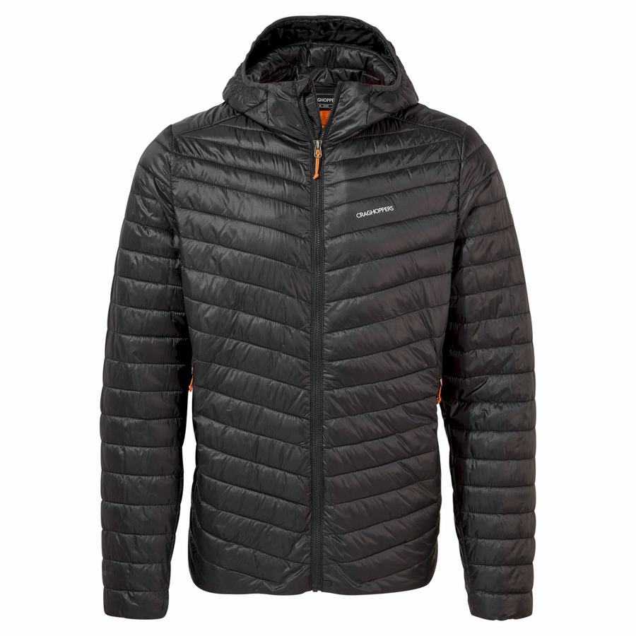 Craghoppers Insulated ExpoLite Hooded Men's Jackets Black Orange | MHD8874GB