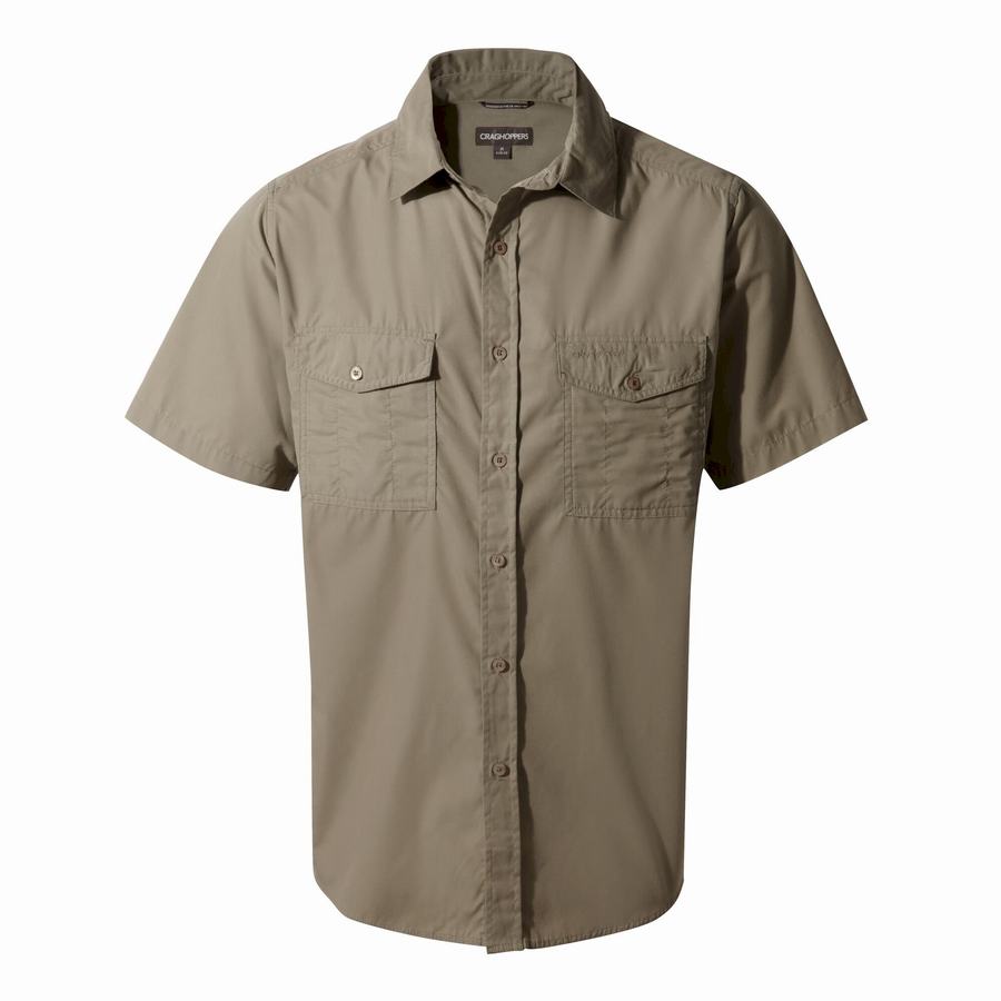 Craghoppers Kiwi Short Sleeved Men's Shirts Deep Green | BBH5061GD