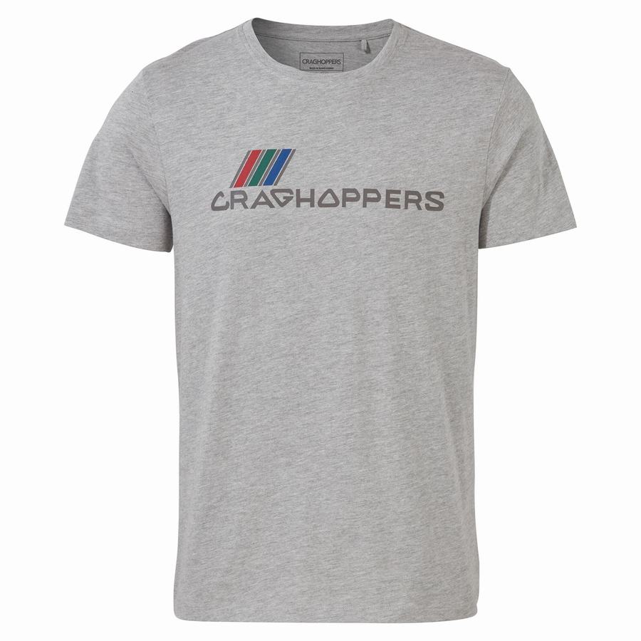 Craghoppers Lugo Short Sleeved Men's T-Shirts Grey | TWH9028LL