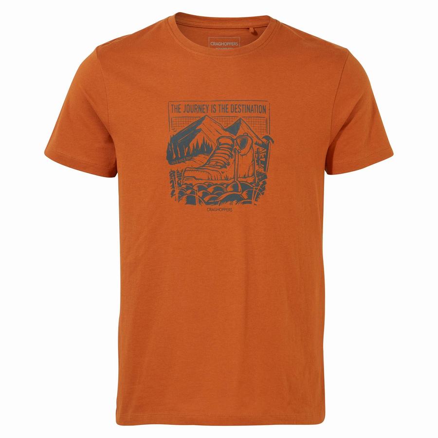 Craghoppers Lugo Short Sleeved Men's T-Shirts Orange | UPL4375FA