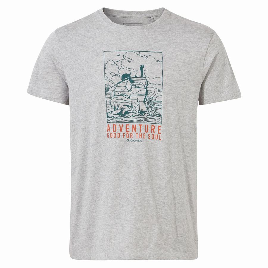 Craghoppers Lugo Short Sleeved Men's T-Shirts Grey | XVR5326PZ