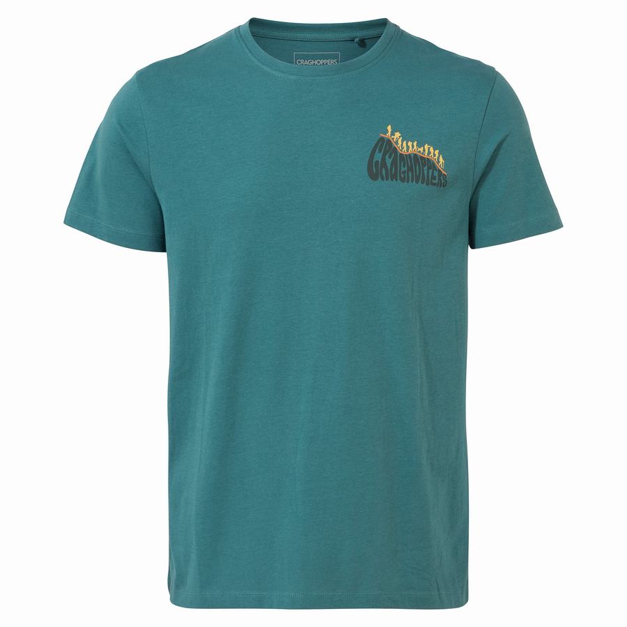 Craghoppers Lugo Short Sleeved Men's T-Shirts Green | YVP7495WS