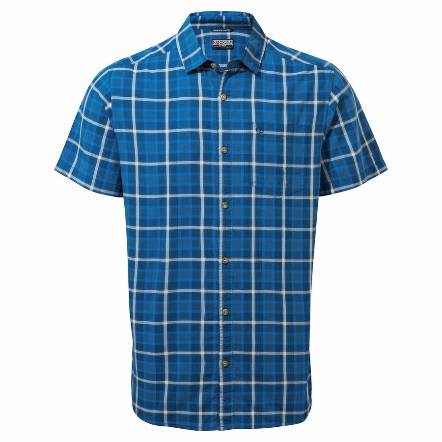 Craghoppers Menlo Short Sleeved Men's Shirts Green | KJH8011FC