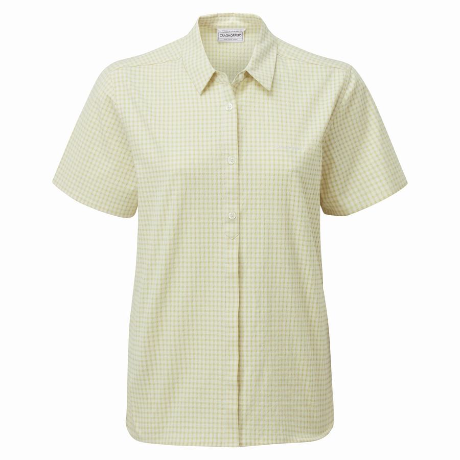 Craghoppers Nasima Short Sleeved Women's Shirts Yellow | AUT2036DL