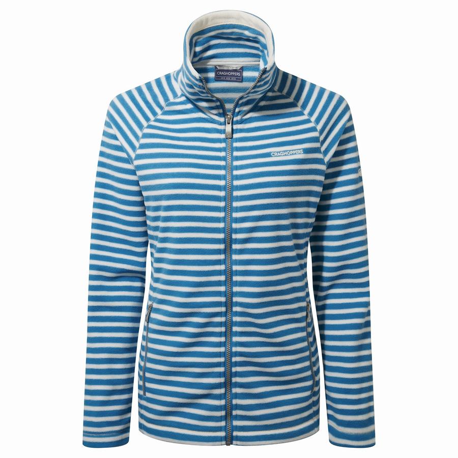 Craghoppers Natalia Women's Sweaters Blue Stripes | HGZ125BL