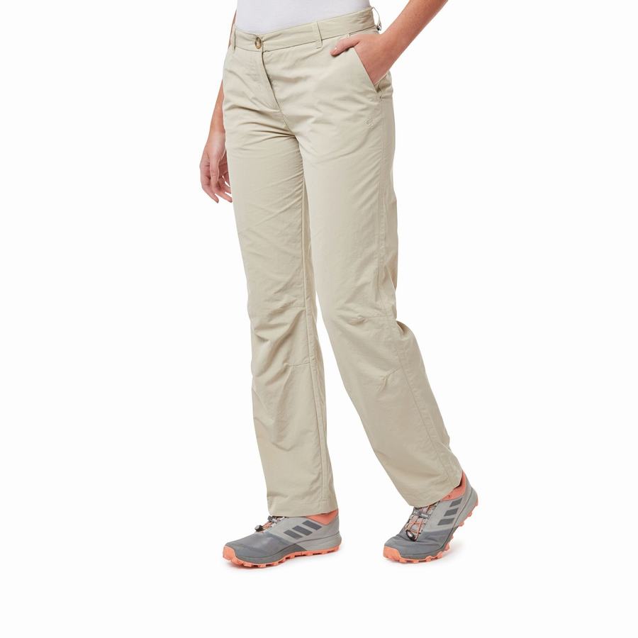 Craghoppers NosiLife III Women's Trousers Brown | DQG6247FY