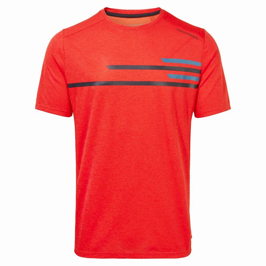 Craghoppers NosiLife Pro Active Short Sleeved Men's T-Shirts Orange Red | OIO1012VU