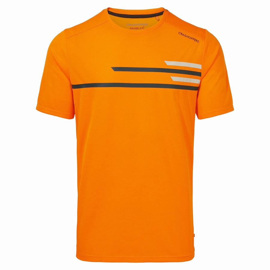 Craghoppers NosiLife Pro Active Short Sleeved Men's T-Shirts Orange | VJS288PR