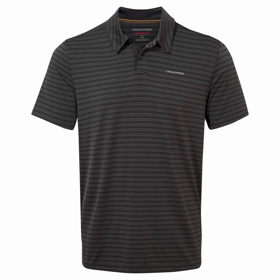 Craghoppers NosiLife Pro Short Sleeved Polo Men's T-Shirts Black Stripes | ZEE7269MK