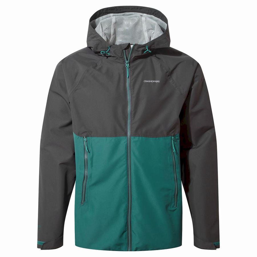 Craghoppers Sebastian Men's Jackets Black Green | OLN7871SP