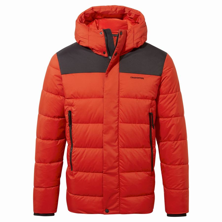 Craghoppers Sutherland Insulated Hooded Men's Jackets Red Black | USV5769GQ