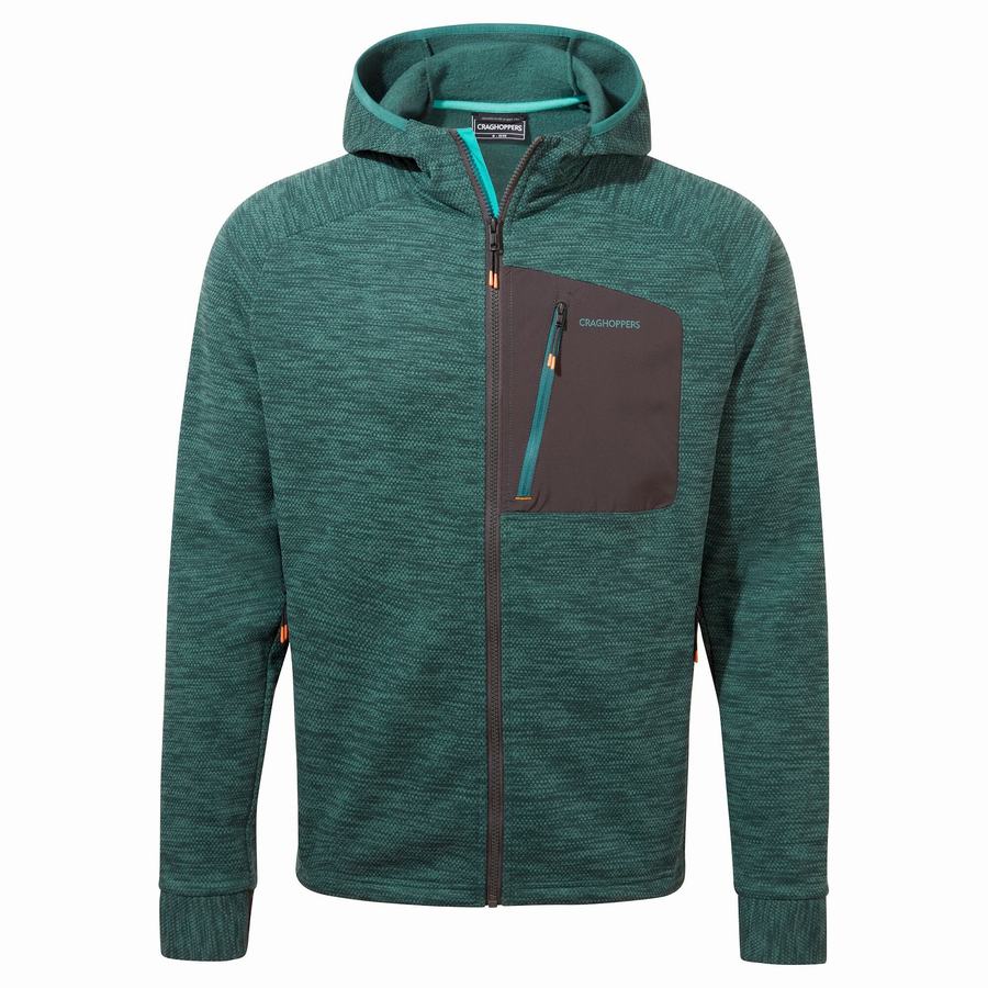 Craghoppers Tarbert Hooded Men's Jackets Green | NPH9339SN