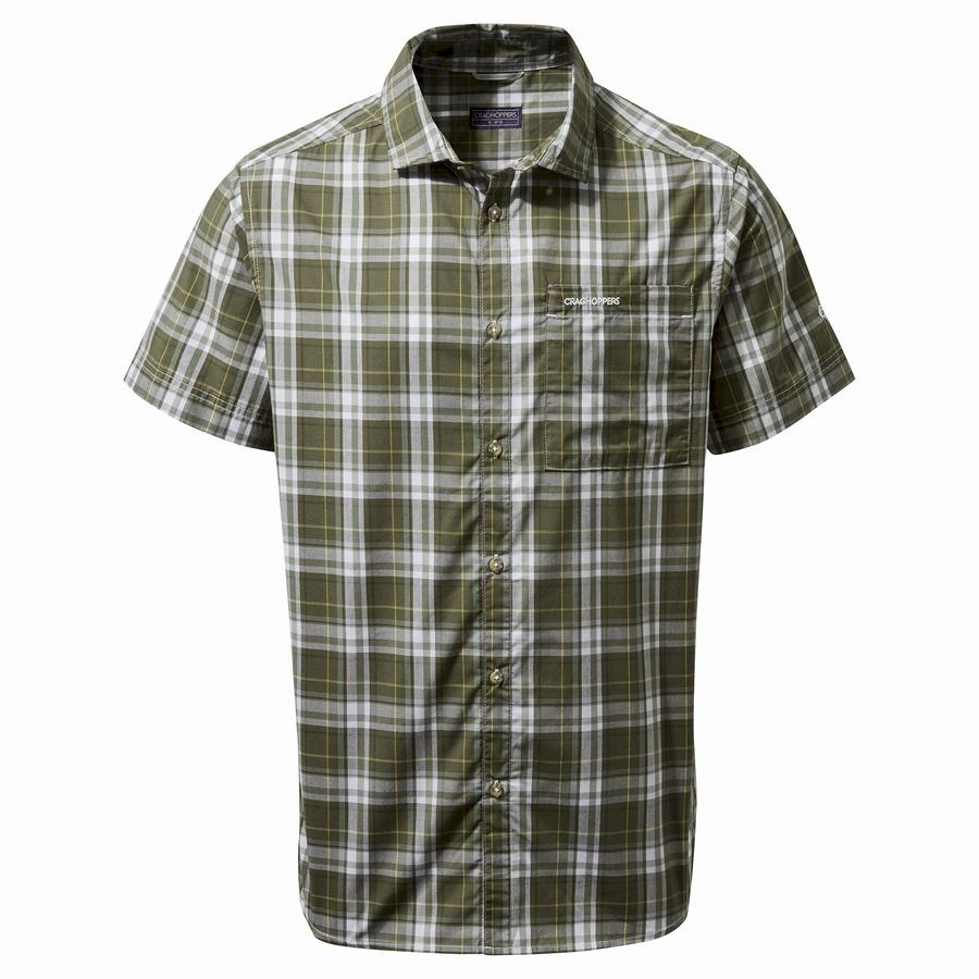 Craghoppers Vernon Short Sleeved Men's Shirts Green | BOR8482IP