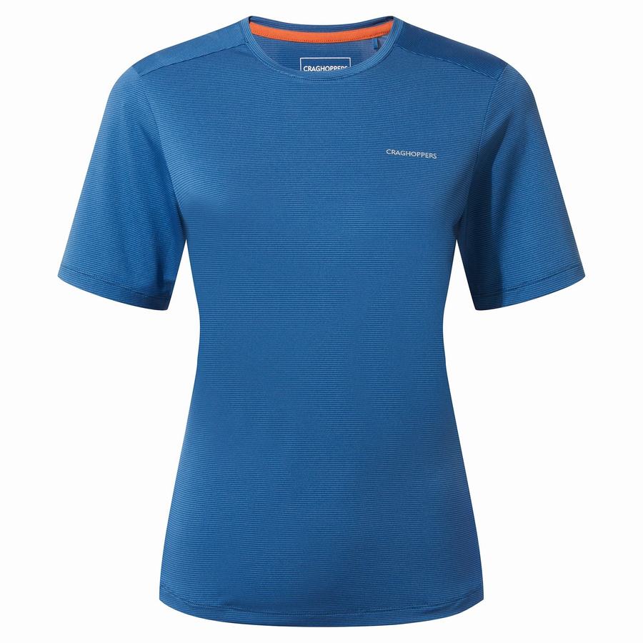 Craghoppers Aliso Short Sleeved Women's T-Shirts Blue | MJF9824YJ