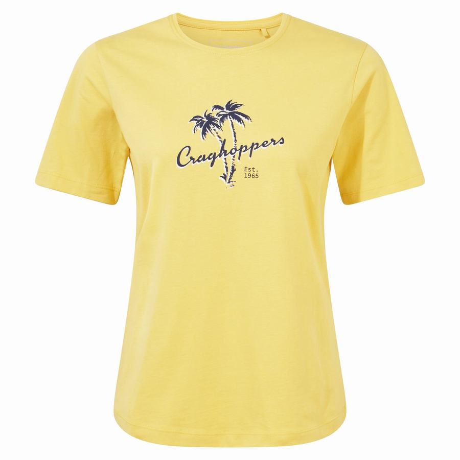 Craghoppers Ally Short Sleeved Women's T-Shirts Yellow | QNI8263OA