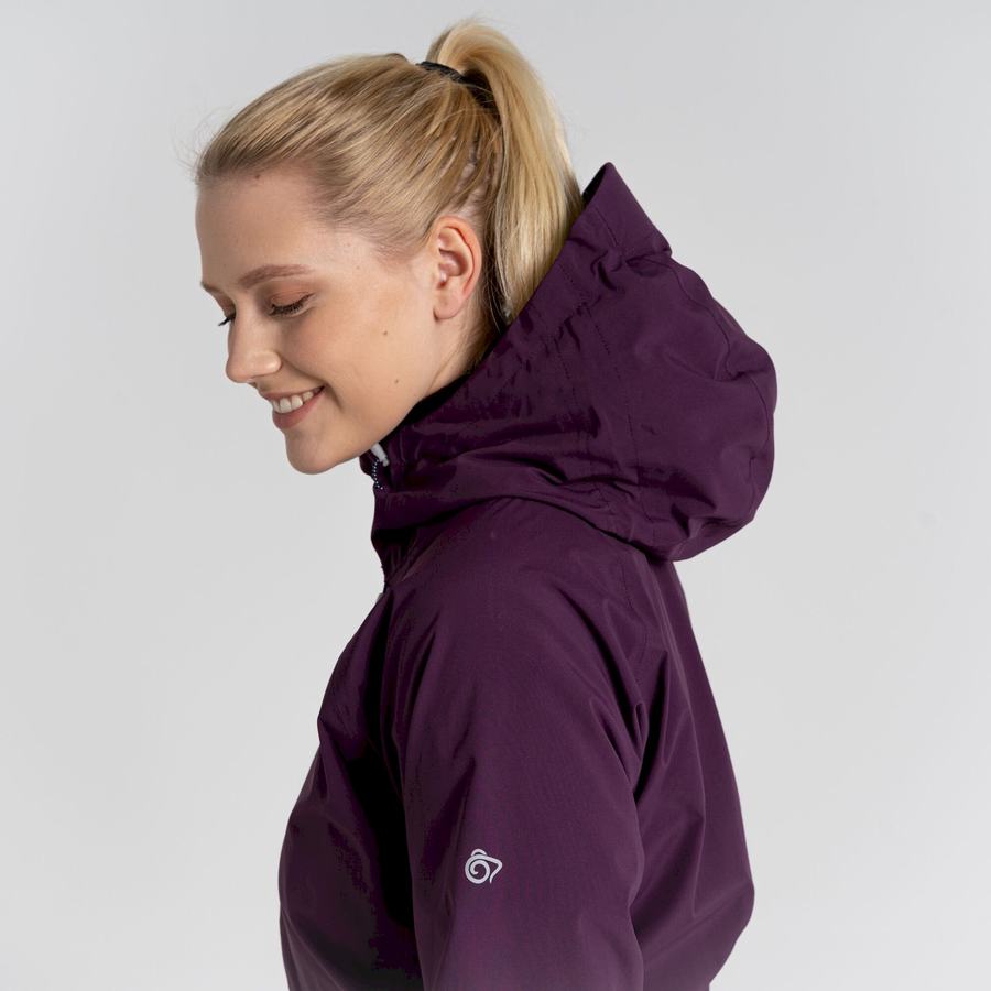 Craghoppers Anza Women's Jackets Purple | BTU33EN