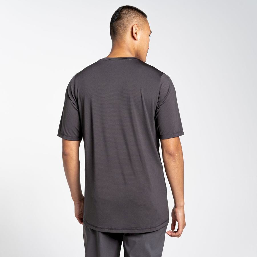 Craghoppers Belardo Short Sleeved Men's T-Shirts Black | XLI477CL