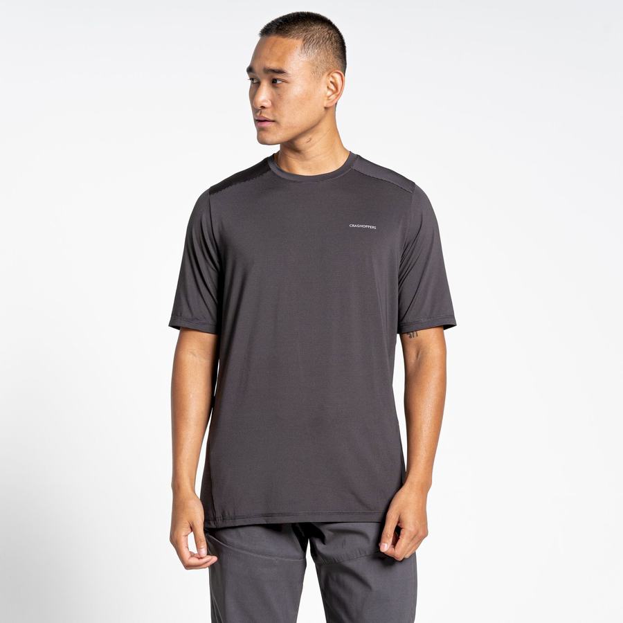 Craghoppers Belardo Short Sleeved Men's T-Shirts Black | XLI477CL