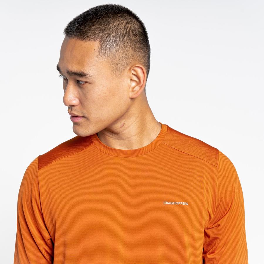 Craghoppers Belardo Short Sleeved Men's T-Shirts Orange | ZAF7777BF