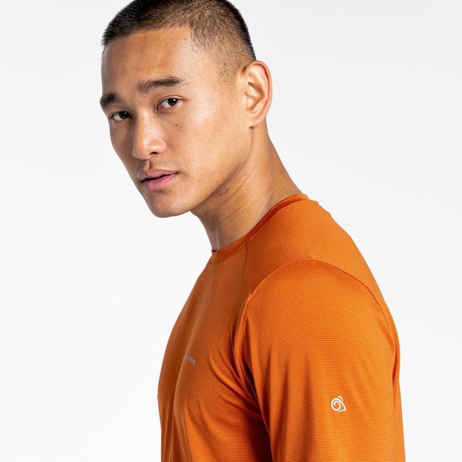 Craghoppers Belardo Short Sleeved Men's T-Shirts Orange | ZAF7777BF