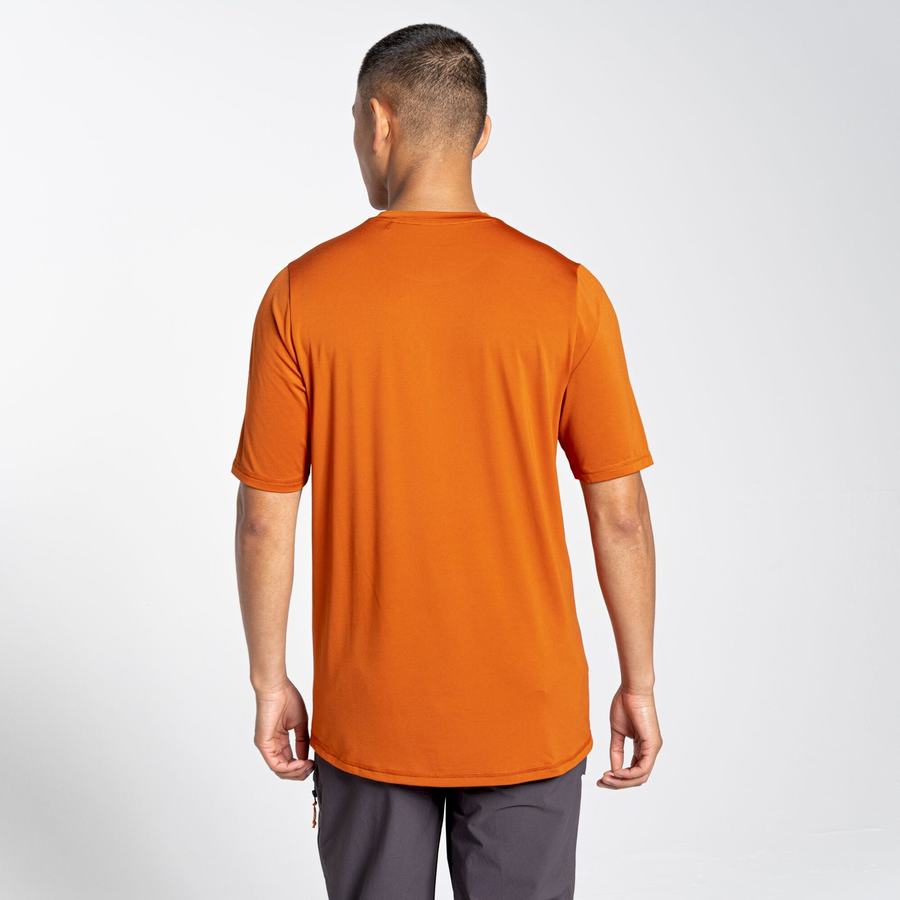 Craghoppers Belardo Short Sleeved Men's T-Shirts Orange | ZAF7777BF