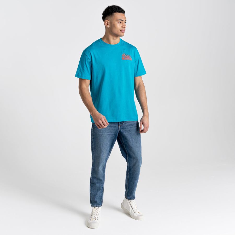 Craghoppers Crosby Short Sleeved Men's T-Shirts Blue | SIL8858ZQ