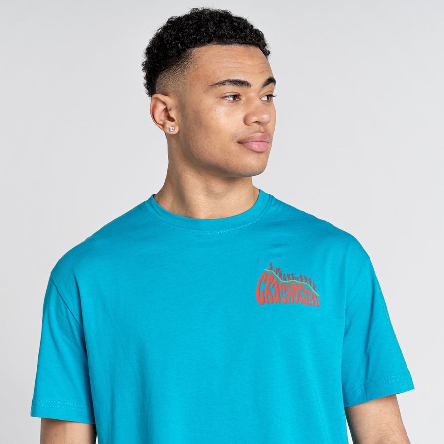 Craghoppers Crosby Short Sleeved Men's T-Shirts Blue | SIL8858ZQ