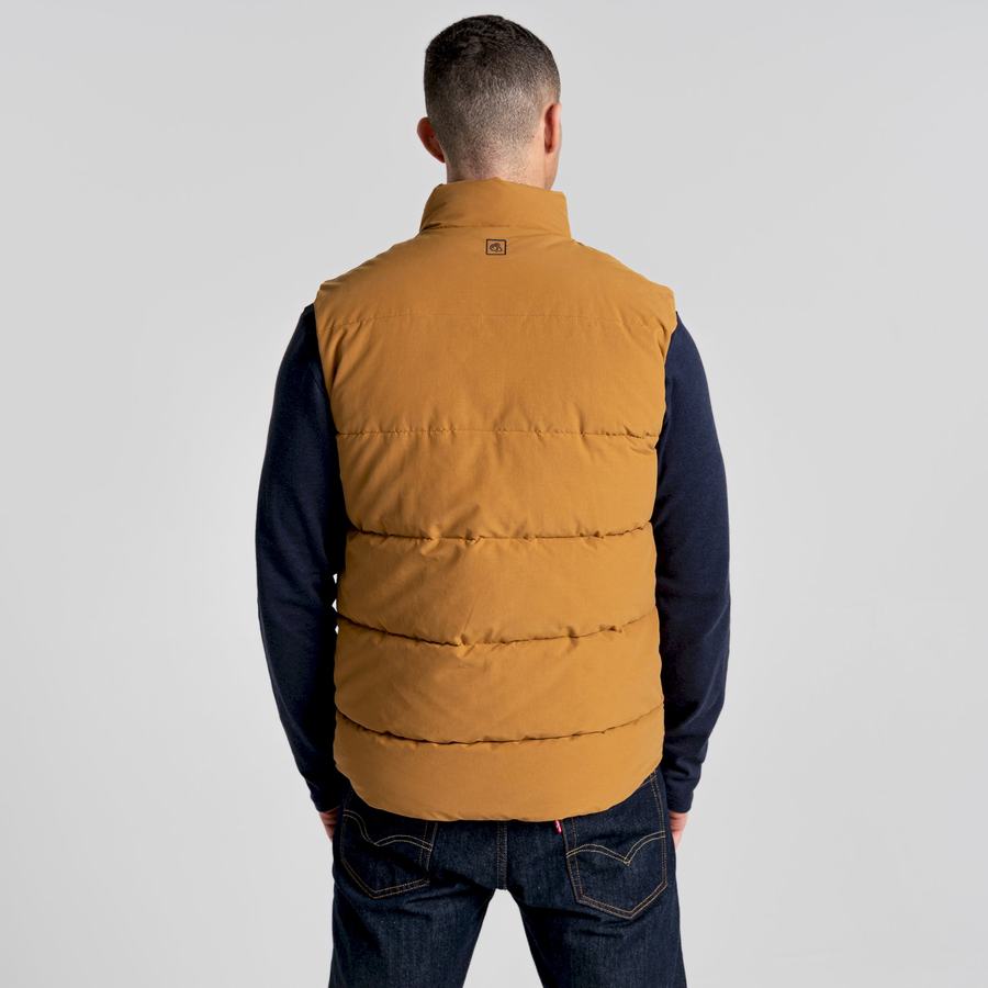 Craghoppers Dunbeath Vest Men's Gilets Grey Brown | YIO2060RB