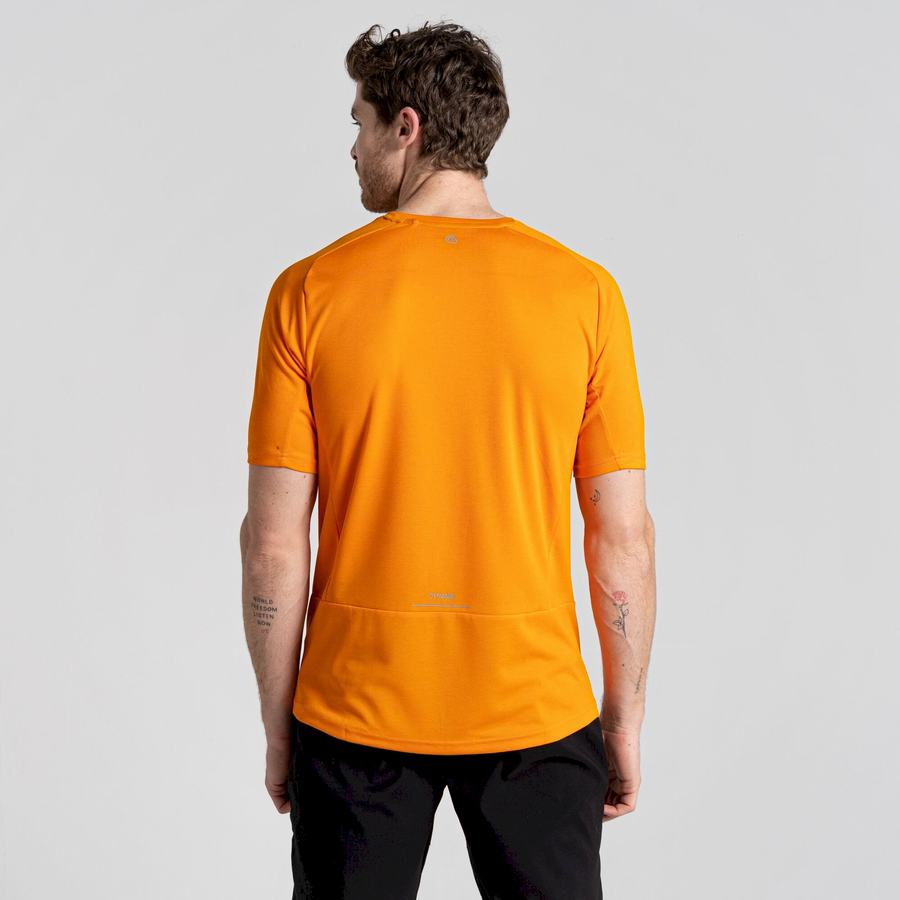 Craghoppers Dynamic Pro Short Sleeved Men's T-Shirts Orange | TEH3123YQ