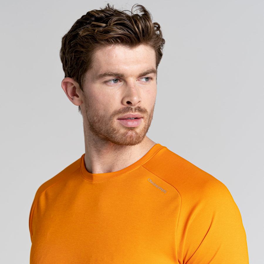 Craghoppers Dynamic Pro Short Sleeved Men's T-Shirts Orange | TEH3123YQ