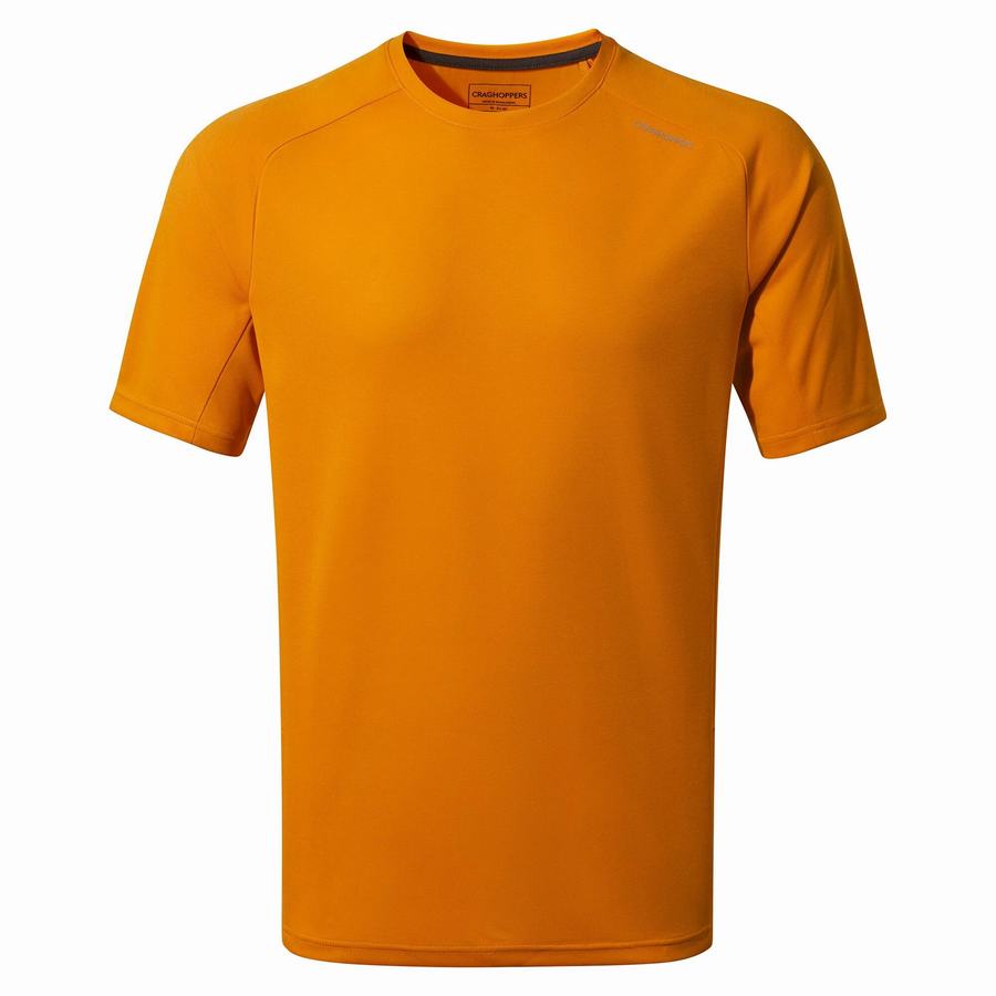 Craghoppers Dynamic Pro Short Sleeved Men\'s T-Shirts Orange | TEH3123YQ