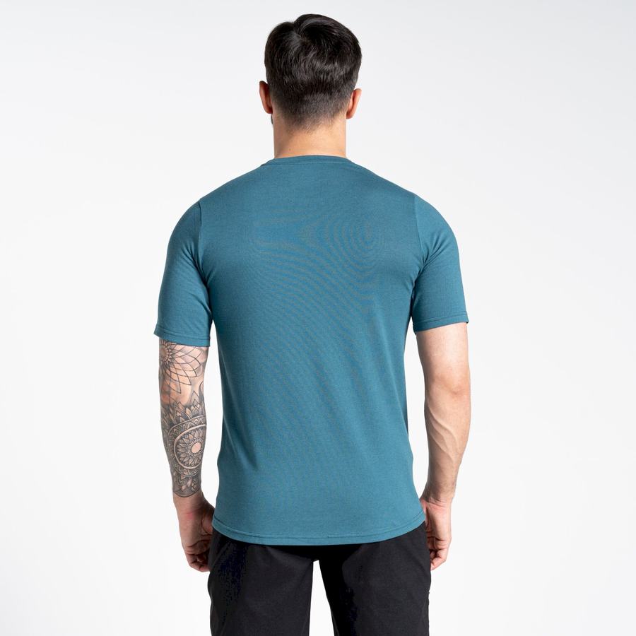 Craghoppers Dynamic Short Sleeved Men's T-Shirts Green | MZB9950QY