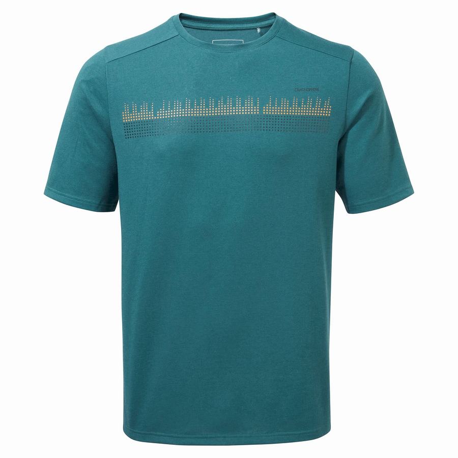 Craghoppers Dynamic Short Sleeved Men's T-Shirts Green | MZB9950QY