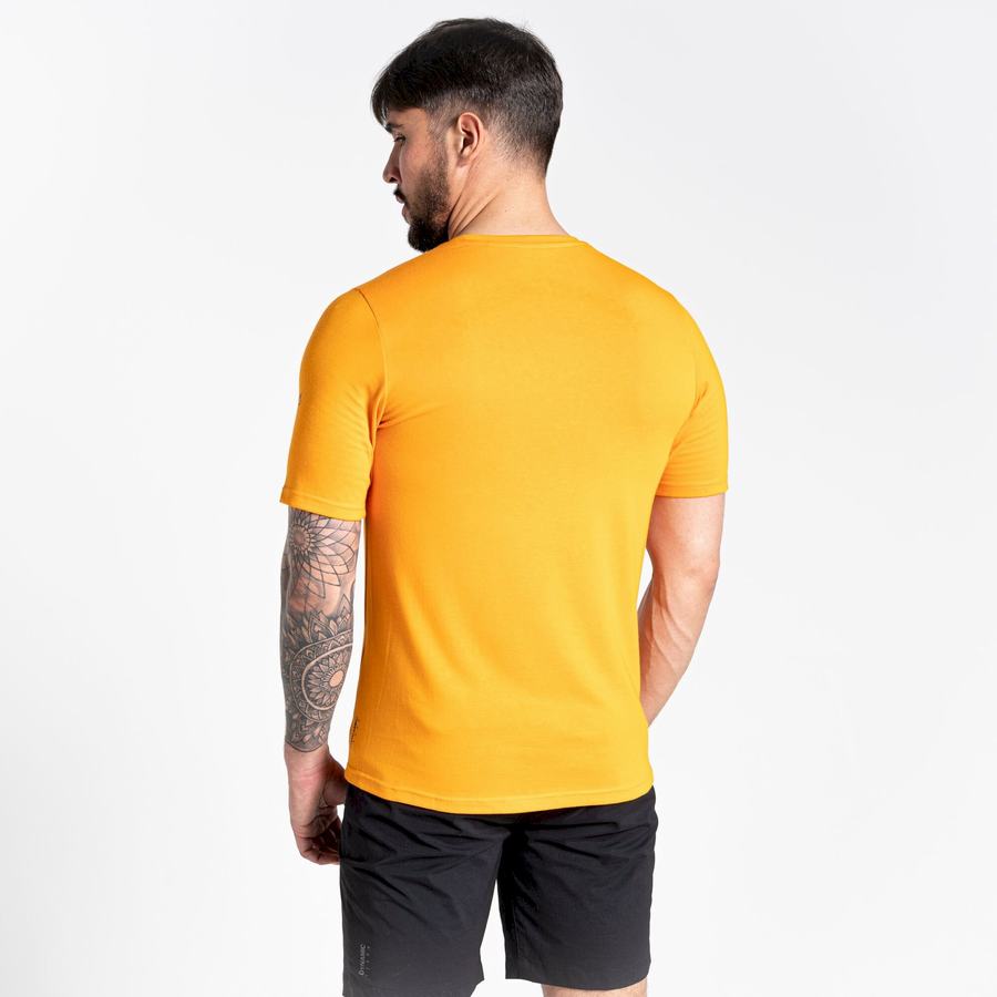 Craghoppers Dynamic Short Sleeved Men's T-Shirts Orange | NNW8959OV