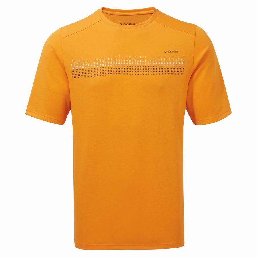 Craghoppers Dynamic Short Sleeved Men's T-Shirts Orange | NNW8959OV